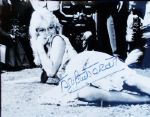 Brigitte Bardot 