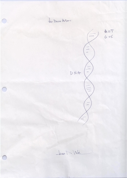 Large James D. Watson DNA Sketch