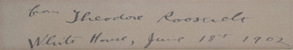 Theodore Roosevelt Photo with signature below