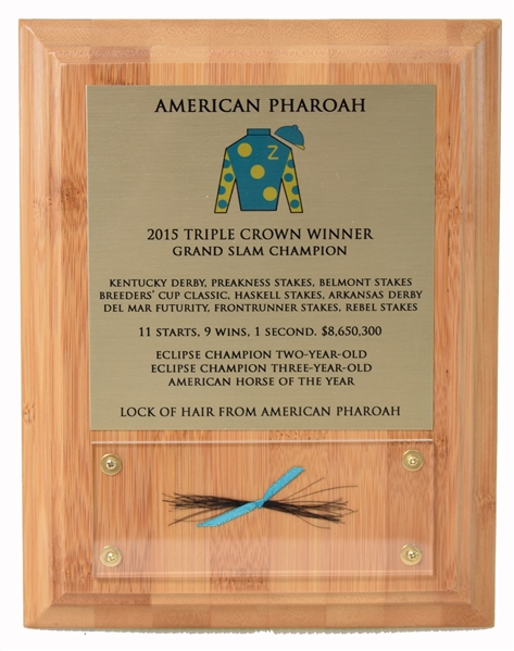 2015 Breeders Cup American Pharaoh