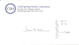 James D Watson