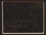 George Washington's Hair