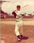 Lot of Baseball signed 8 x 10's