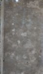 Rare Martin Van Buren Signed Book