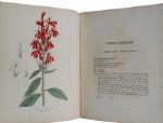  Vegetable Materia Medica of the United States 1817 Inscribed to Commodore Bainbridge