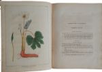 Vegetable Materia Medica of the United States 1817 Inscribed to Commodore Bainbridge
