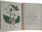  Vegetable Materia Medica of the United States 1817 Inscribed to Commodore Bainbridge