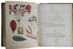  Vegetable Materia Medica of the United States 1817 Inscribed to Commodore Bainbridge