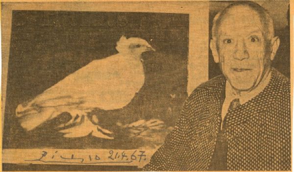Picasso Signed Photo!