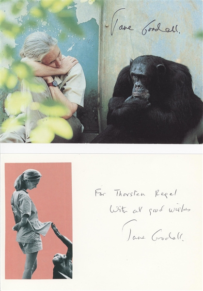 Jane Goodall
