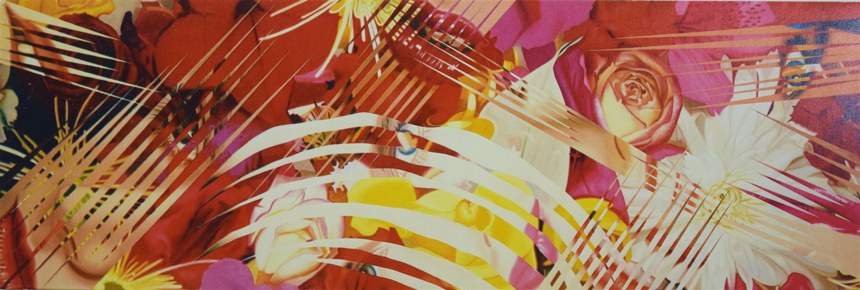 James  Rosenquist
