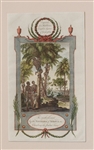 Africa History Engravings 1788