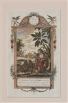 Africa History Engravings 1788