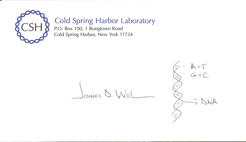 James D Watson