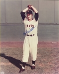 Giants Lot - Bill Terry, Hoyt Wilhelm, Johnny Mize, Willie McCovey