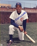 Chicago Cubs Lot- Ernie Banks, Billy Williams