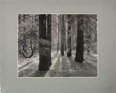 Ansel Adams Signed Yosemite and the Range of Light – First Edition, 1979